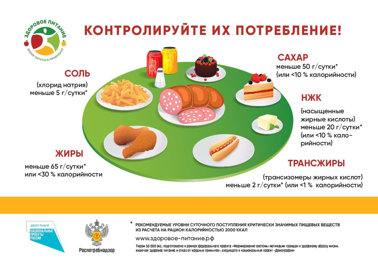 О важности здорового питания и сбалансированного рациона